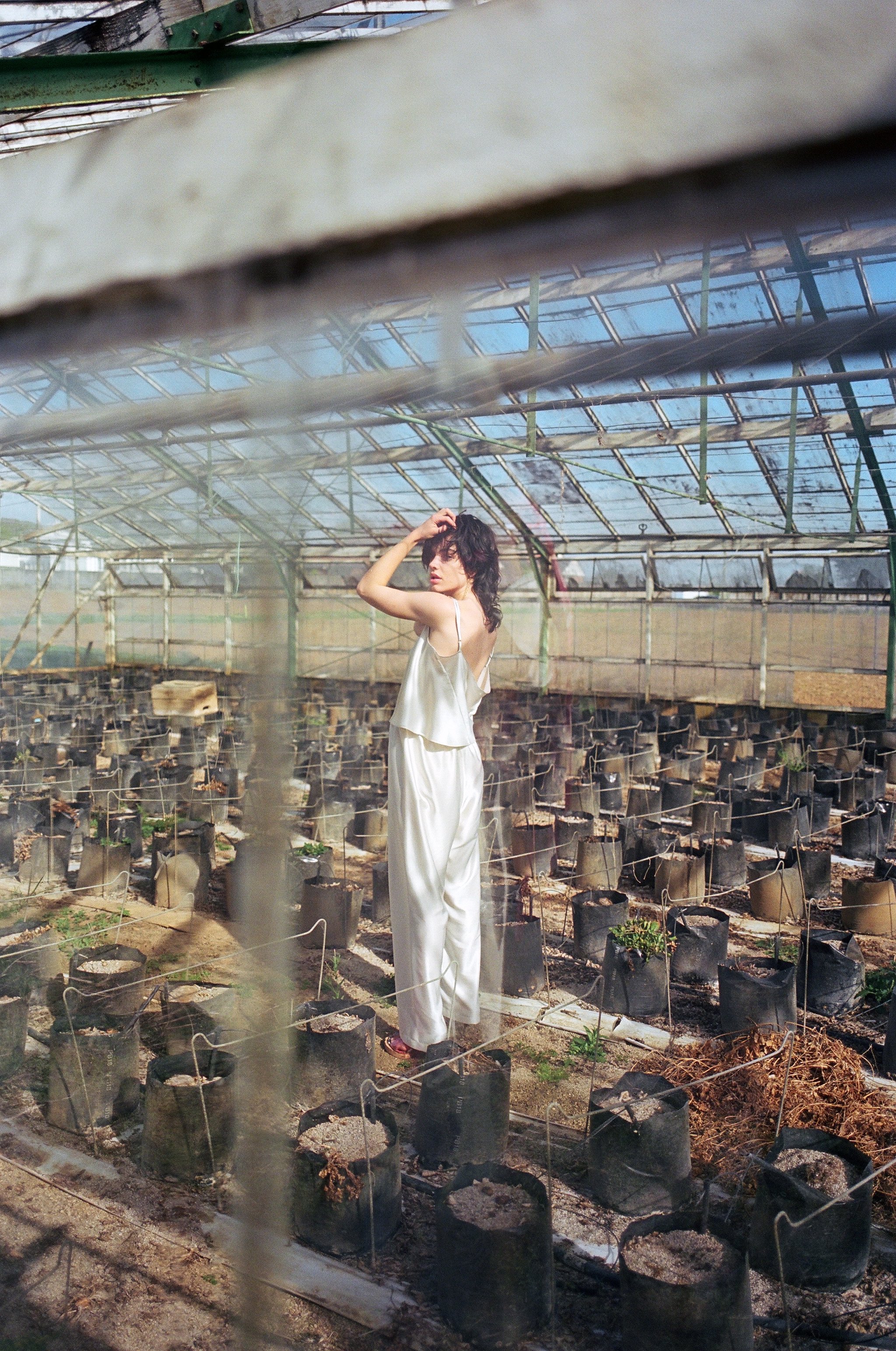 PJ Harvey Trousers Oyster