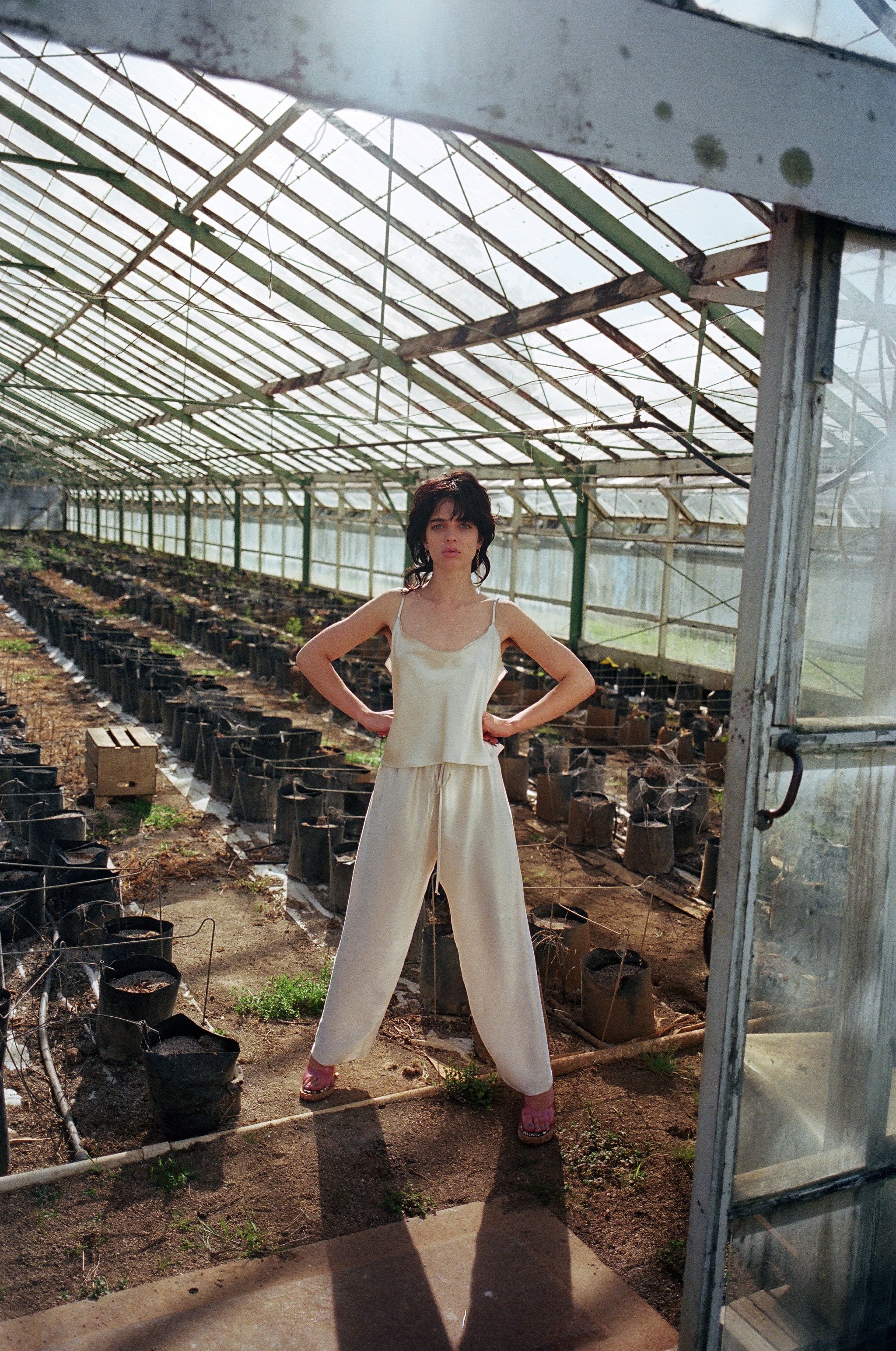 PJ Harvey Trousers Oyster