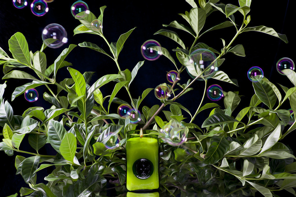 Curio Glass - Gardenia's Shadow