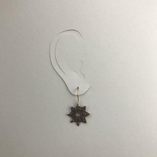 Lucinda Barrett Star of Aspiration single charms